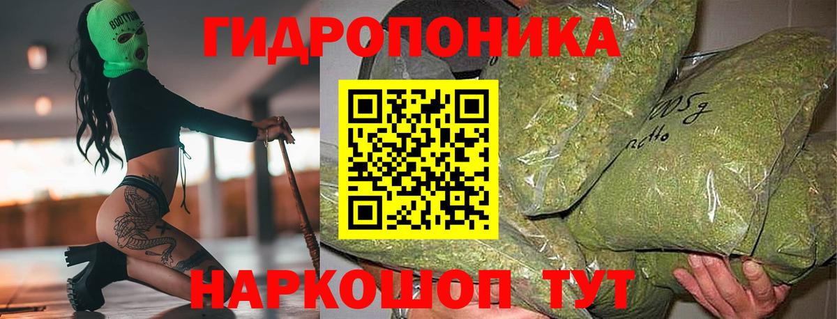Каннабис MAZAR Будённовск